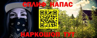 МДПВ Гусев