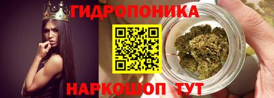 эйфоретик Гусь-Хрустальный