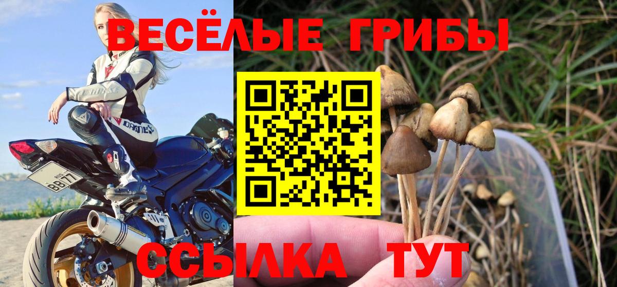 Галлюциногенные грибы MAGIC MUSHROOMS Надым